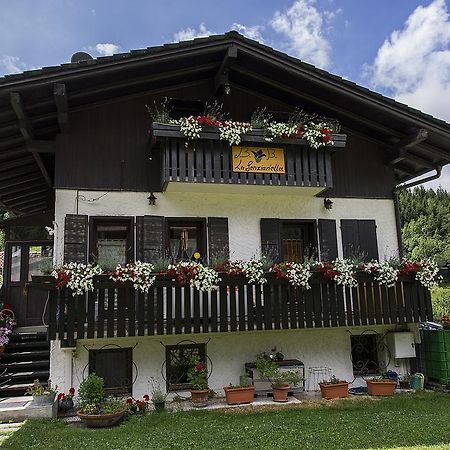 B&B La Genzianella Perarolo di Cadore Экстерьер фото