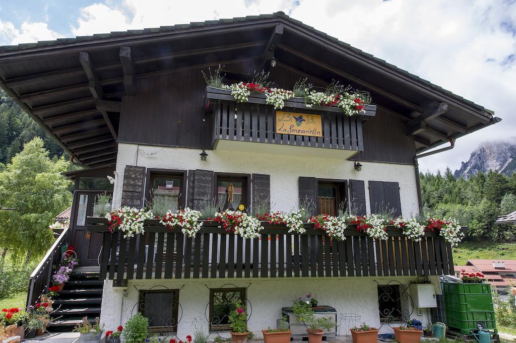 B&B La Genzianella Perarolo di Cadore Экстерьер фото