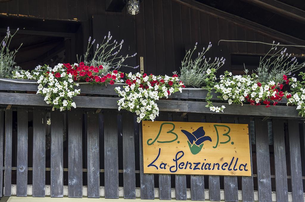 B&B La Genzianella Perarolo di Cadore Экстерьер фото